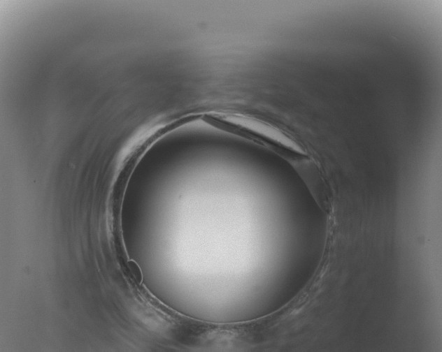 X0000077370294200610271927