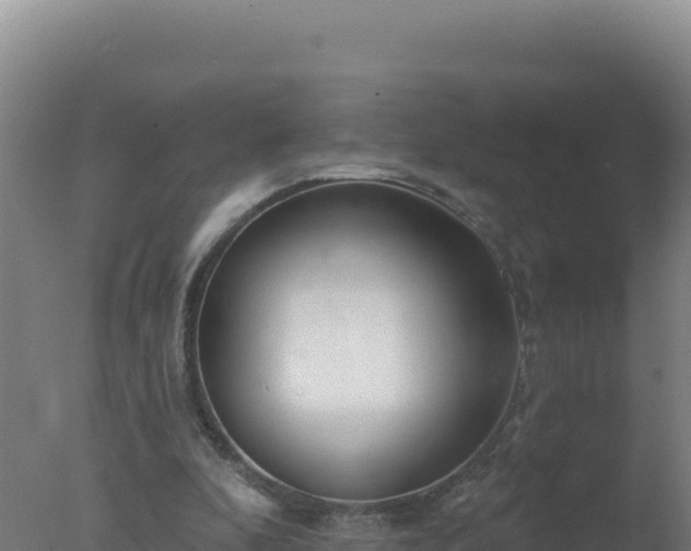 X0000077370296200610271927