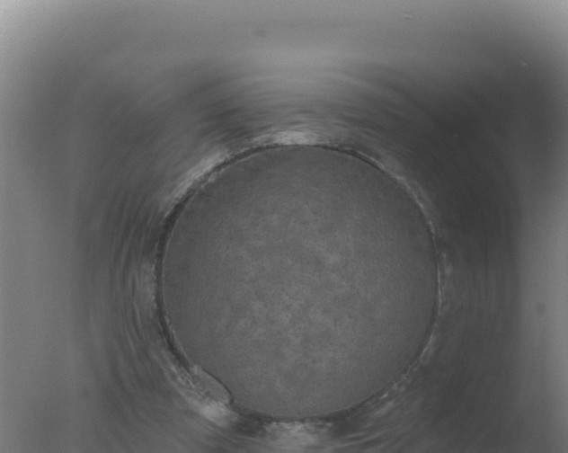 X0000077370297200610271927