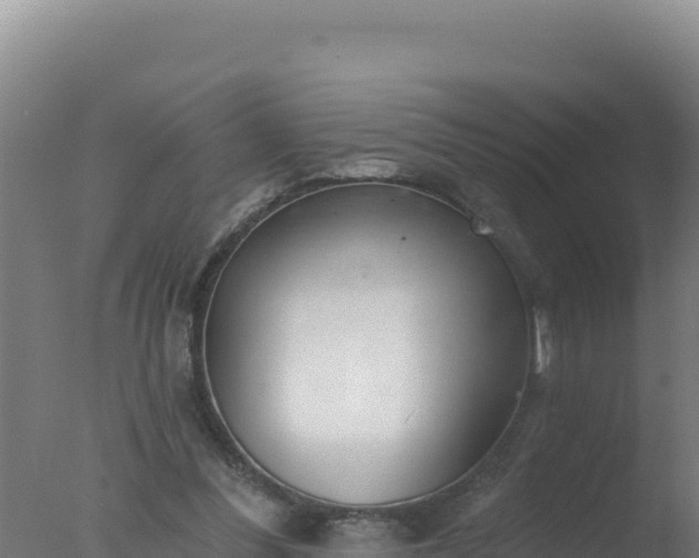 X0000077370300200610271927