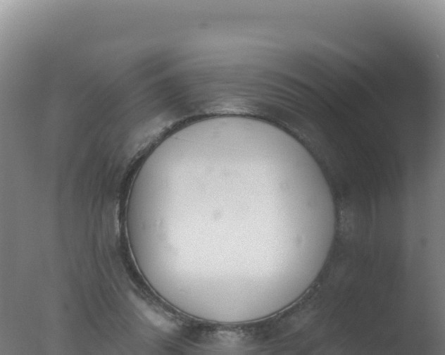 X0000077370302200610271927