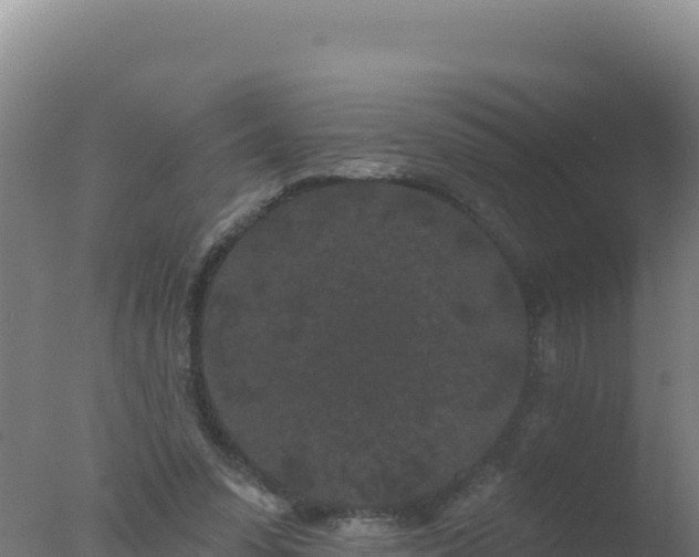 X0000077370303200610271927