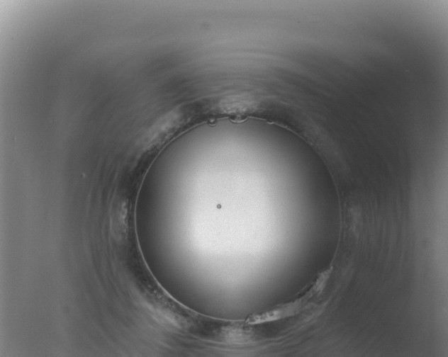 X0000077370308200610271927