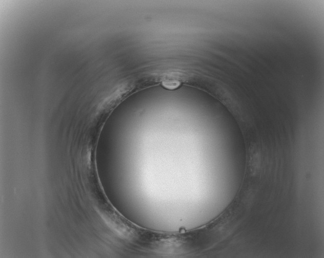 X0000077370310200610271927