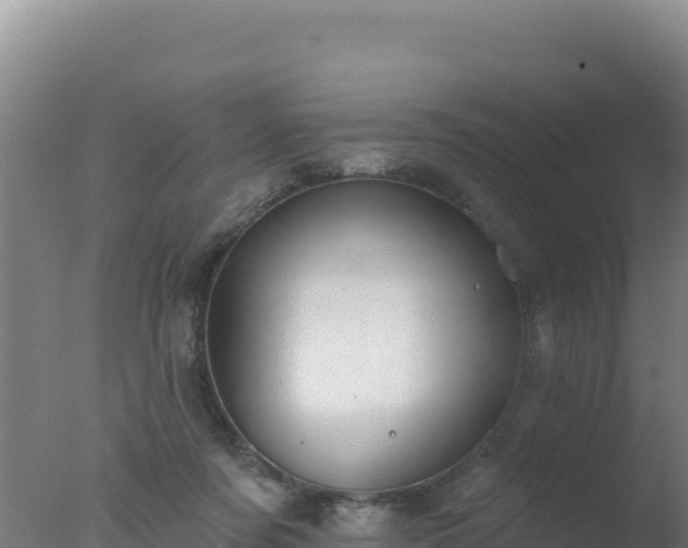 X0000077370311200610271927