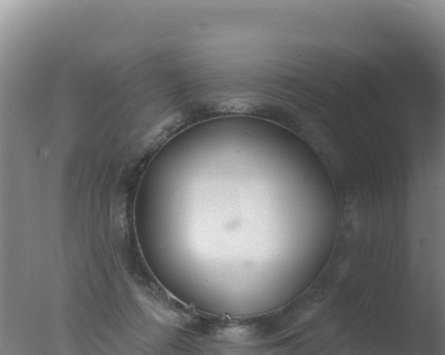 X0000077370312200610271927