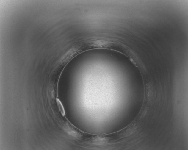 X0000077370313200610271927