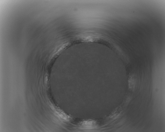 X0000077370314200610271927