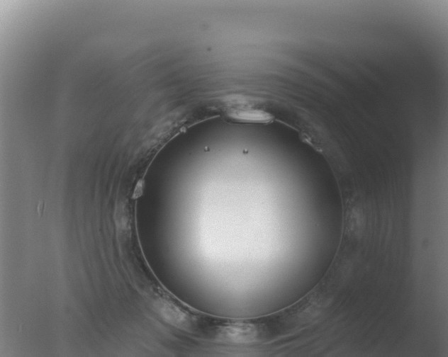 X0000077370317200610271927