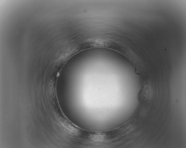 X0000077370318200610271927