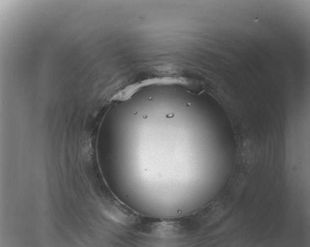 X0000077370320200610271927