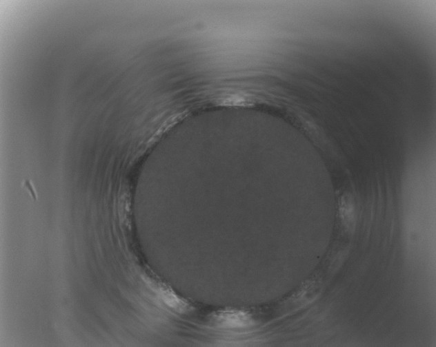 X0000077370322200610271927