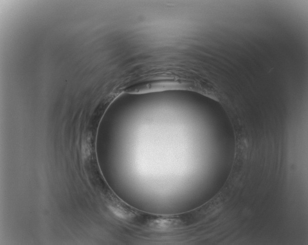 X0000077370323200610271927