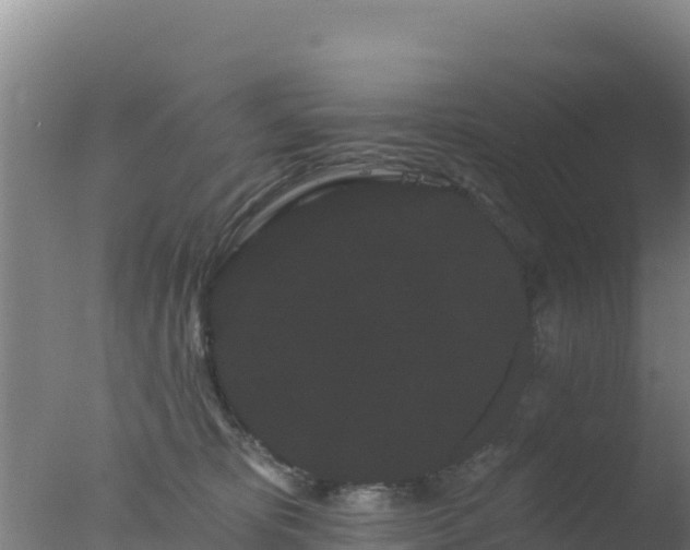 X0000077370325200610271927