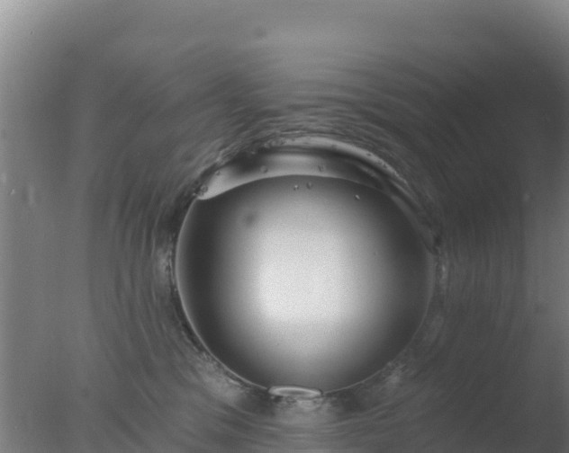 X0000077370329200610271927