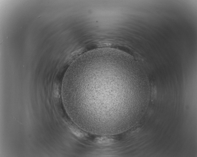 X0000077370331200610271926