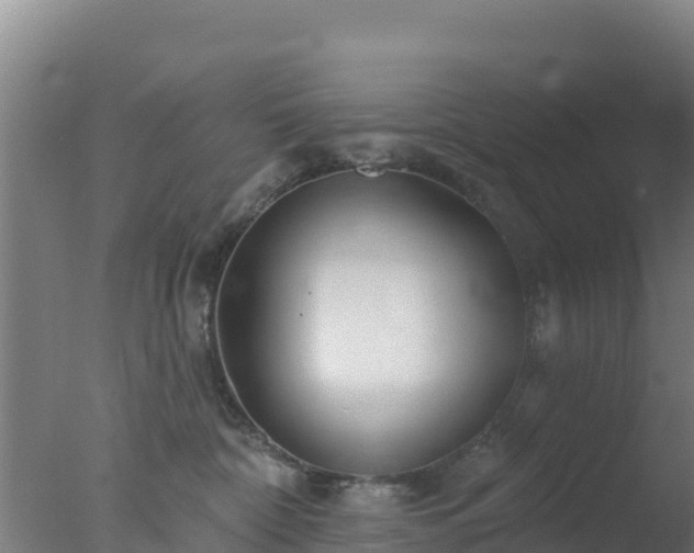 X0000077370332200610271926