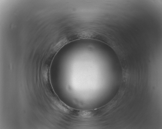 X0000077370334200610271926