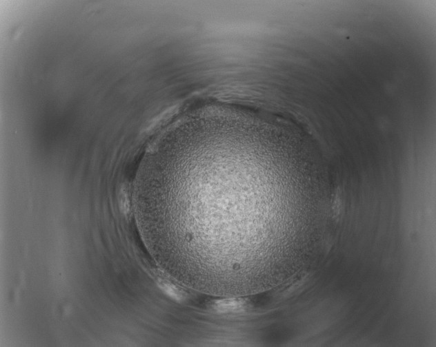 X0000077370335200610271926