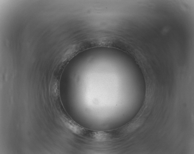 X0000077370336200610271926