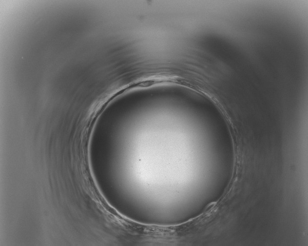 X0000077370337200610271926