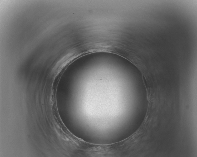 X0000077370338200610271926