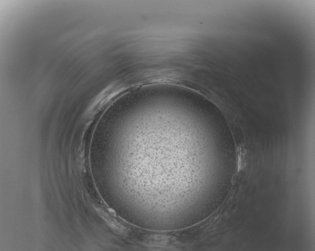 X0000077370339200610271926