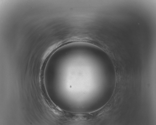 X0000077370340200610271926