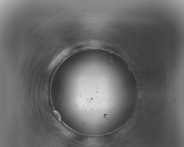 X0000077370341200610271926