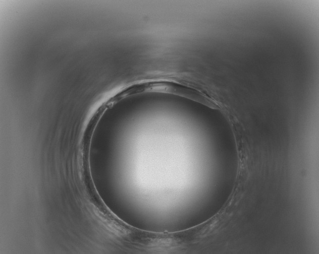 X0000077370342200610271926