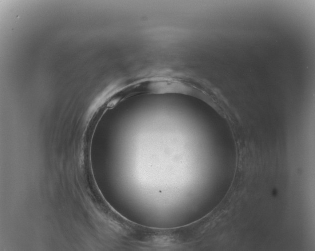 X0000077370344200610271926