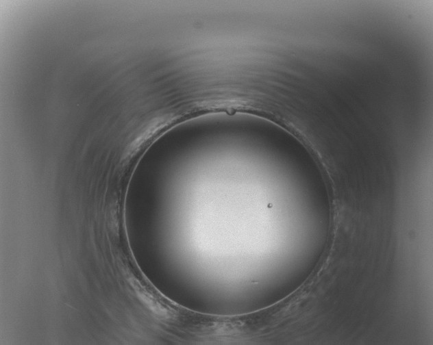 X0000077370345200610271926