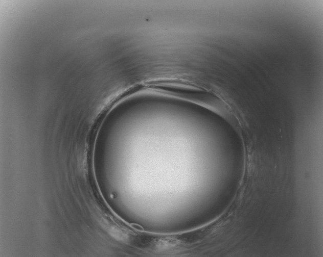 X0000077370346200610271926