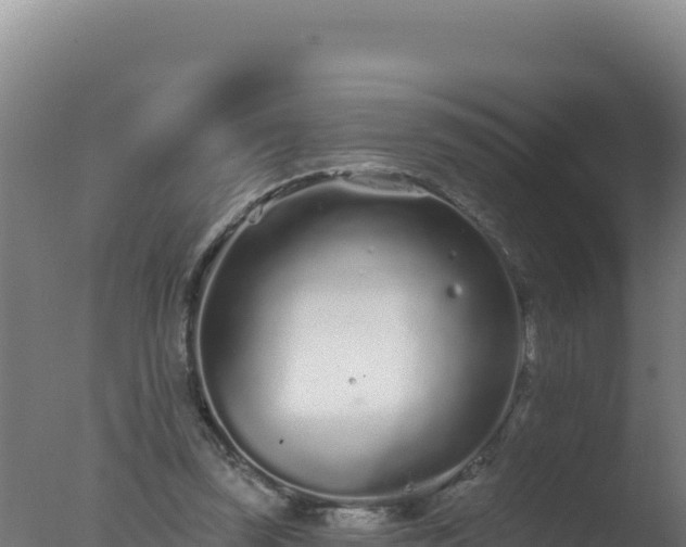 X0000077370347200610271926