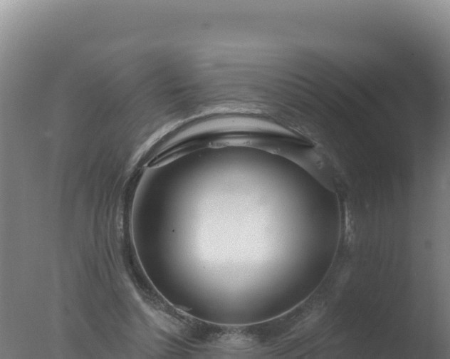 X0000077370348200610271926