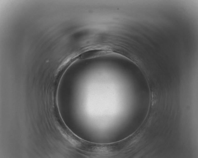 X0000077370349200610271926