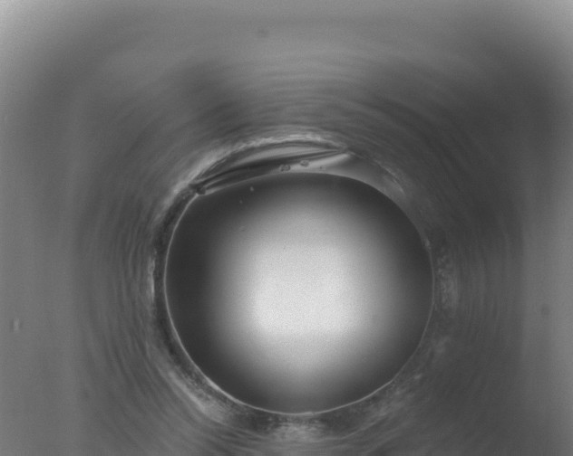 X0000077370350200610271926