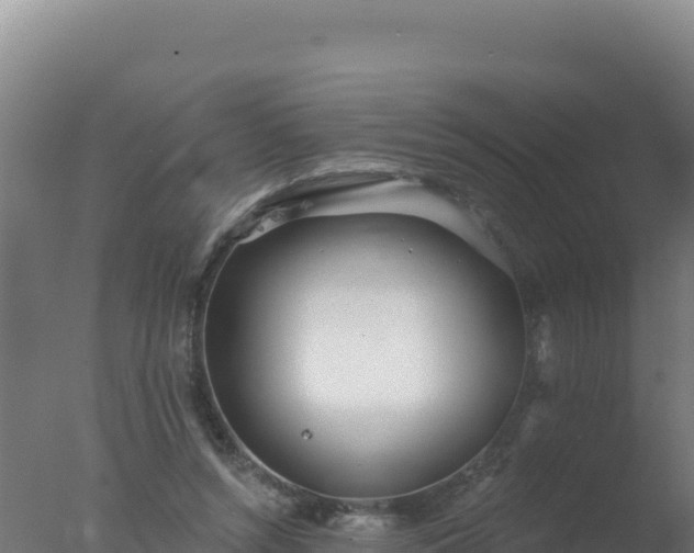 X0000077370352200610271926