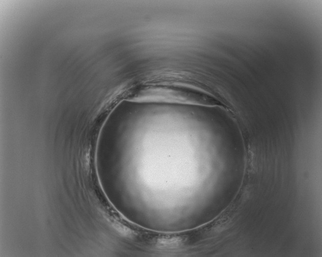 X0000077370357200610271926