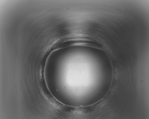 X0000077370358200610271926