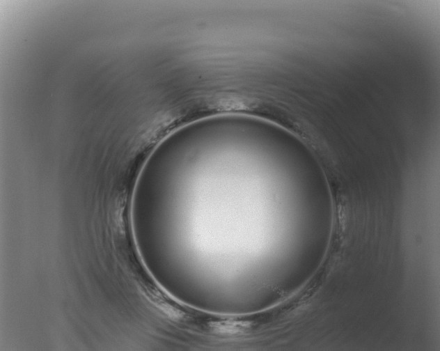 X0000077370359200610271926