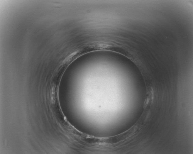 X0000077370360200610271926