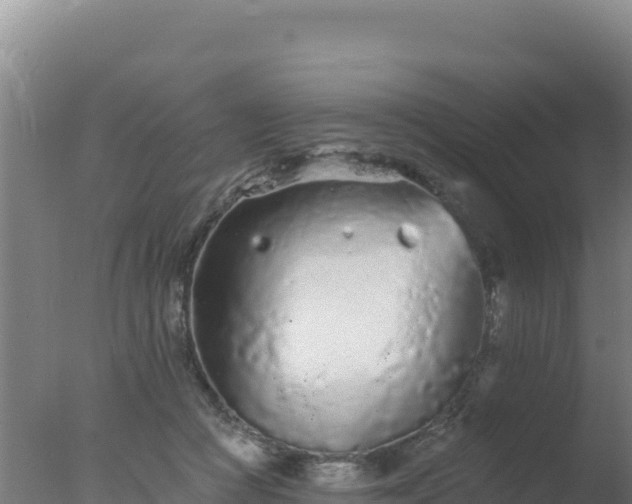 X0000077370361200610271926