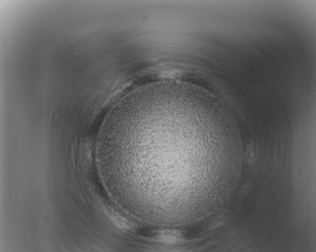 X0000077370363200610271926