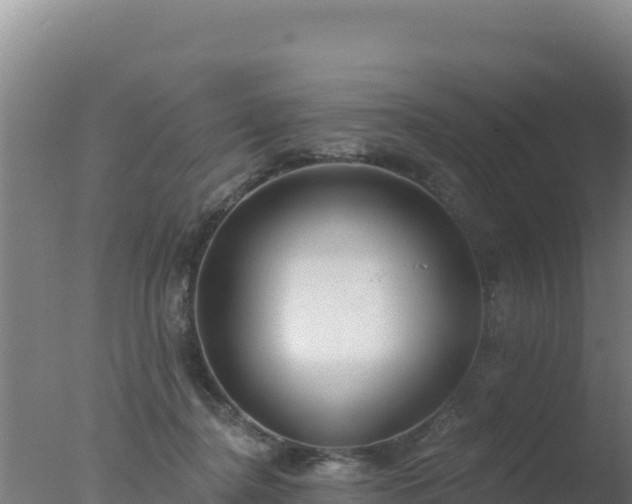 X0000077370364200610271926