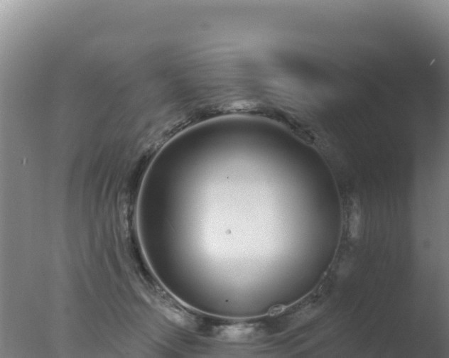 X0000077370366200610271926