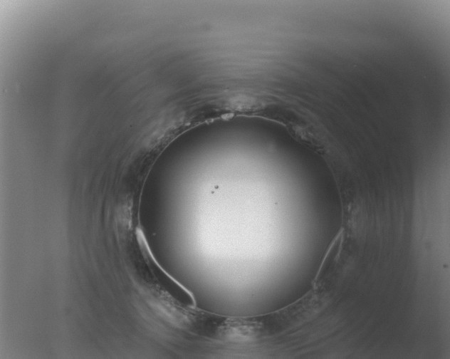 X0000077370368200610271926