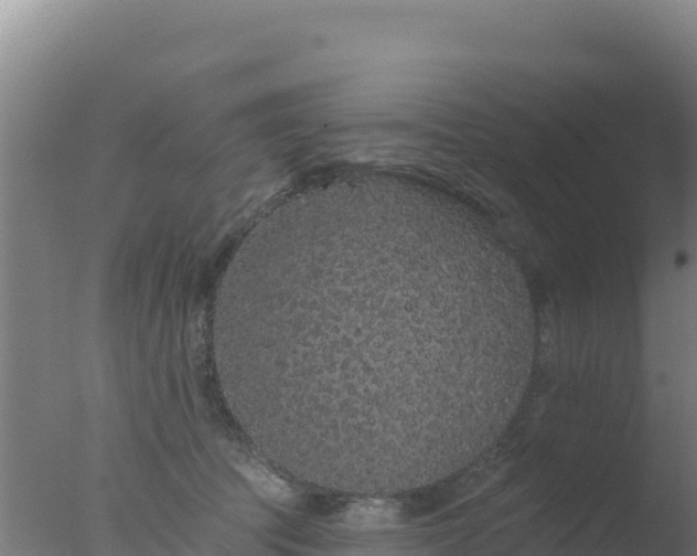 X0000077370369200610271926