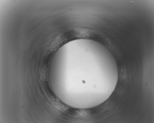 X0000077370370200610271926