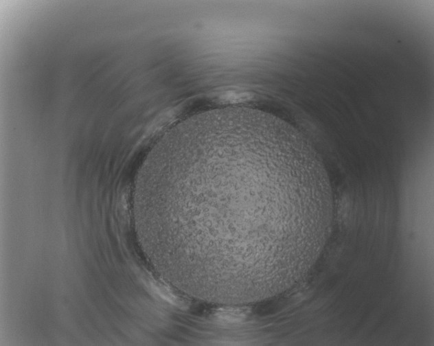 X0000077370373200610271926